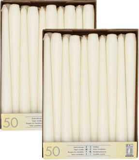 Dinerkaarsen/kandelaarkaarsen Mega pack - 100x stuks - wit - Gotisch - 25 cm