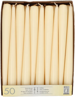 Dinerkaarsen/kandelaarkaarsen Mega pack - 50x stuks - creme wit - Gotisch - 25 cm