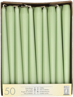 Dinerkaarsen/kandelaarkaarsen Mega pack - 50x stuks - jade groen - Gotisch - 25 cm