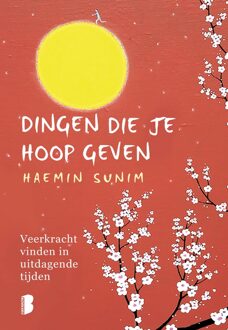 Dingen die je hoop geven - Haemin Sunim - ebook