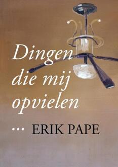 Dingen Die Mij Opvielen - (ISBN:9789463863100)