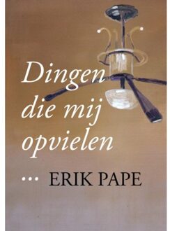 Dingen Die Mij Opvielen - (ISBN:9789463863100)