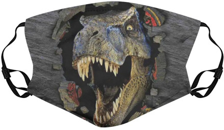 Dinosaur Pattern Face Mask With 3Pcs Filters Cotton Mouth Cover for Children Protective Facial Mask Washable Reusable Mouth Mask