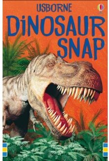 Dinosaur Snap - Snap Cards - Usborne