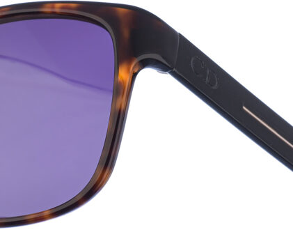 Dior BLACKTIE146S herenzonnebril van ovaal acetaat Bruin
