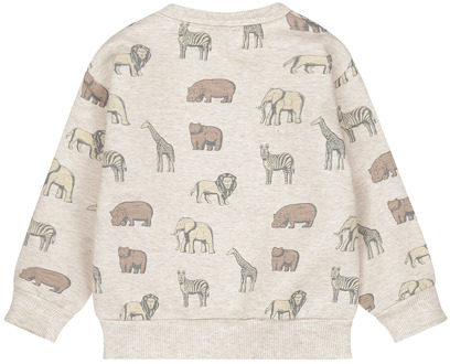 Dirkje jongens sweater Beige - 80