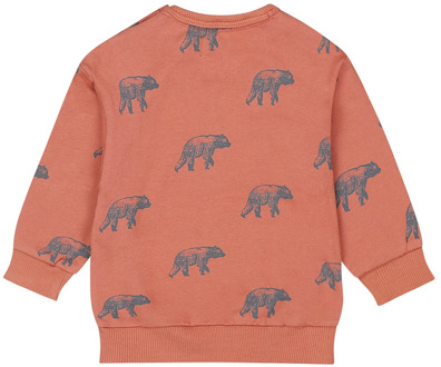 Dirkje jongens sweater Brique - 92