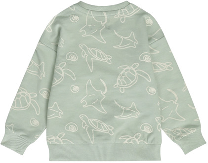 Dirkje jongens sweater Groen - 80