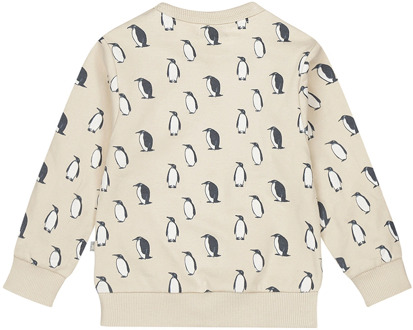 Dirkje jongens trui Ecru - 86