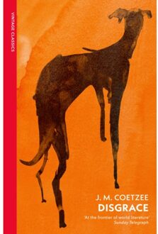 Disgrace - Vintage Classics - J.M. Coetzee