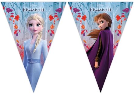 Disney 2x Disney Frozen 2 vlaggenlijnen 2 meter - Kinderfeestje/verjaardag feest thema vlaggenlijn