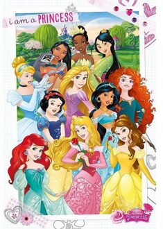 Disney Decoratie poster prinsessen 61 x 91,5 cm Multi