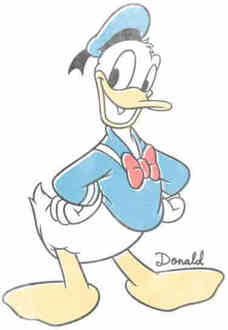 Disney Donald Duck Klassieke Pose T-shirt - Wit - 5XL