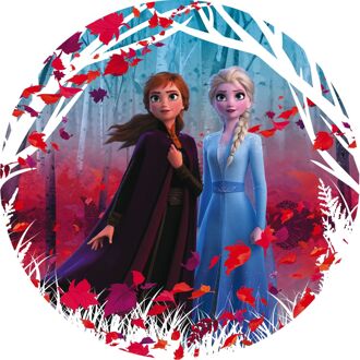 Disney Fotobehang - Frozen 2 Winter is coming 125x125cm - Rond - Vliesbehang - Zelfklevend Multikleur