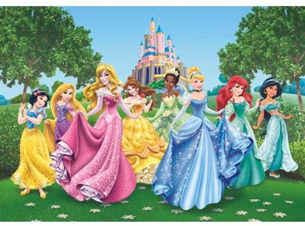Disney Fotobehang Prinsessen Groen, Geel En Blauw - 360 X 254 Cm - 600360