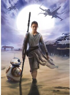 Disney Fotobehang - Star Wars Rey 184x254cm - Papierbehang Multikleur