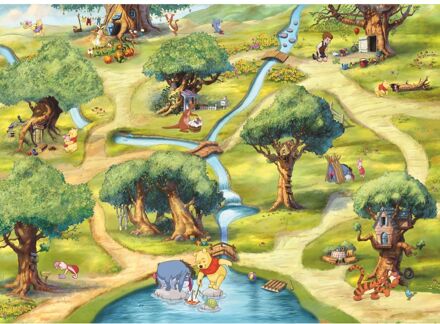 Disney Fotobehang - Winnie the Pooh Hundertmorgenwald 254x184cm - Papierbehang Multikleur