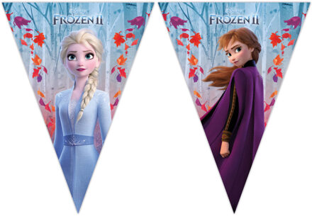 Disney Frozen 2 feest vlaggenlijn 2 meter - Feestbanieren Multikleur
