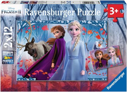 Disney Frozen 2 - Twee puzzels