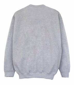 Disney Meisjes Lilo en Stitch Collegiaal Sweatshirt (Sportgrijs) - maat 5-6J / 110-116cm Lichtgrijs