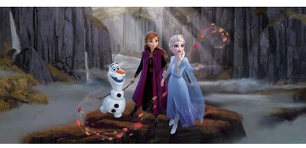 Disney Poster Frozen Anna & Elsa Blauw, Paars En Bruin - 202 X 90 Cm - 600905