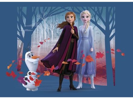 Disney Poster Frozen Anna & Elsa Blauw, Paars En Oranje - 160 X 110 Cm - 600667