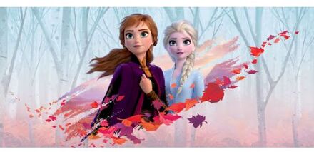 Disney Poster Frozen Anna & Elsa Blauw, Paars En Oranje - 202 X 90 Cm - 600907