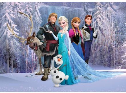 Disney Poster Frozen Paars En Blauw - 160 X 110 Cm - 600656