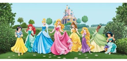 Disney Poster Prinsessen Groen, Blauw En Roze - 202 X 90 Cm - 600873