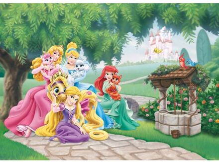 Disney Poster Prinsessen Groen, Geel En Roze - 160 X 110 Cm - 600660