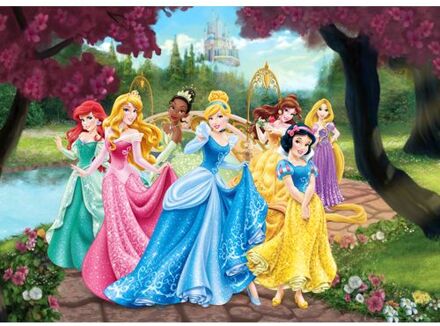 Disney Poster Prinsessen Roze, Geel En Blauw - 160 X 110 Cm - 600655