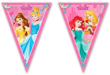 Disney prinses vlaggenlijnen 2,3 m Multi