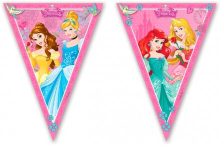 Disney Set van 2x stuks Disney prinses vlaggenlijnen 2,3 m