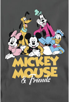 Disney Volwassen uniseks mickey mouse friends sweatshirt - maat XL Grijs