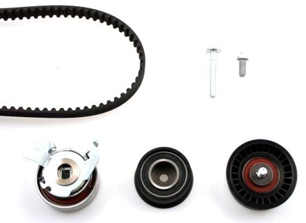 Distributieriemset 201049