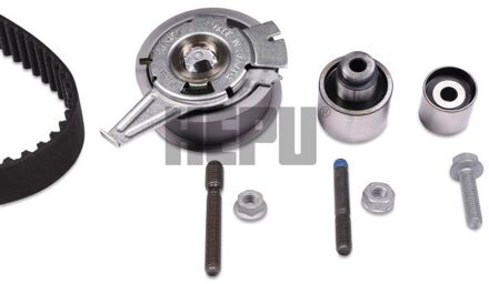 Distributieriemset 202146