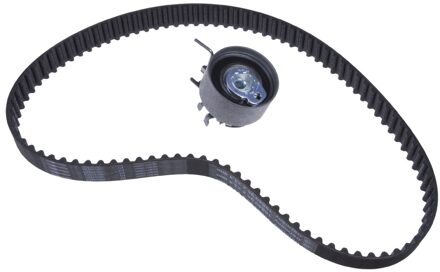 Distributieriemset ADN17316