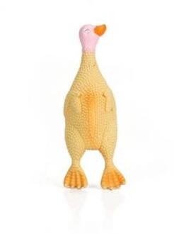 Distripet - Latex eend