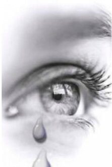 Dit geloof je toch niet! - Boek Nicole Ridderhof (9463425845)