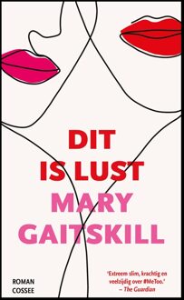 Dit is lust - Mary Gaitskill - ebook