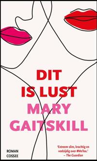 Dit is lust - Mary Gaitskill - ebook