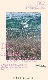 Dit is niet voor niets geweest - Julie Wijckmans - ebook