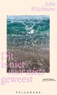 Dit is niet voor niets geweest -  Julie Wijckmans (ISBN: 9789462349353)
