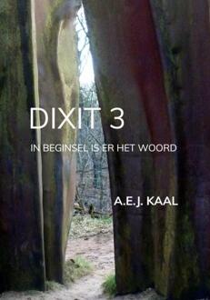 Dixit 3 -  A.E.J. Kaal (ISBN: 9789465201092)