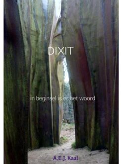 Dixit - Boek A.E.J. Kaal (9402150757)