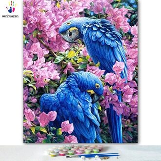 DIY kleurstoffen foto's nummers met kleuren Blauw papegaai foto tekening schilderij van nummers omlijst Home 40x50cm nee kader