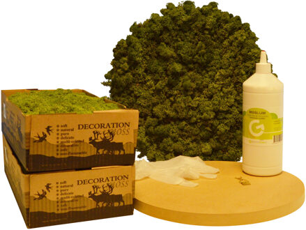 DIY mos schilderij rond 40cm.