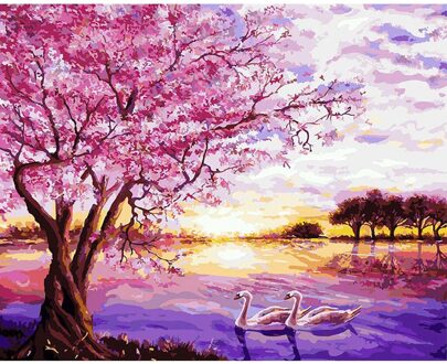 Diy Schilderij Van Nummers Kit Kleuren Door Getallen Foto Nummers Home Decors