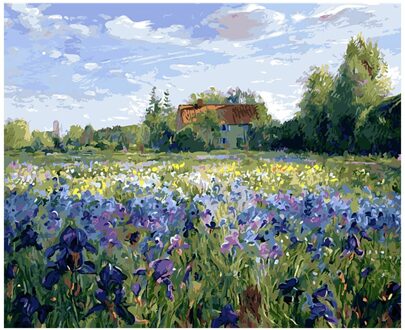 Diy Schilderij Van Nummers Kit Kleuren Door Getallen Foto Nummers Home Decors