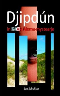 Djipdún - Boek Jan Schokker (9089543457)